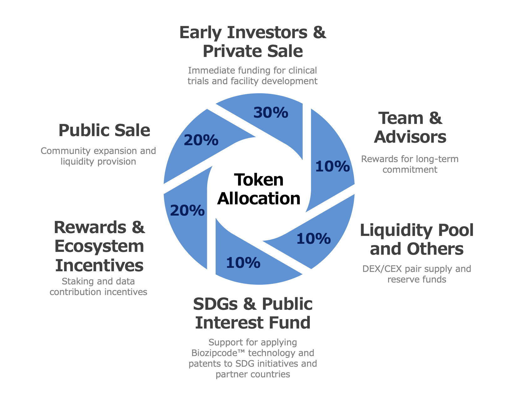 Token Allocation