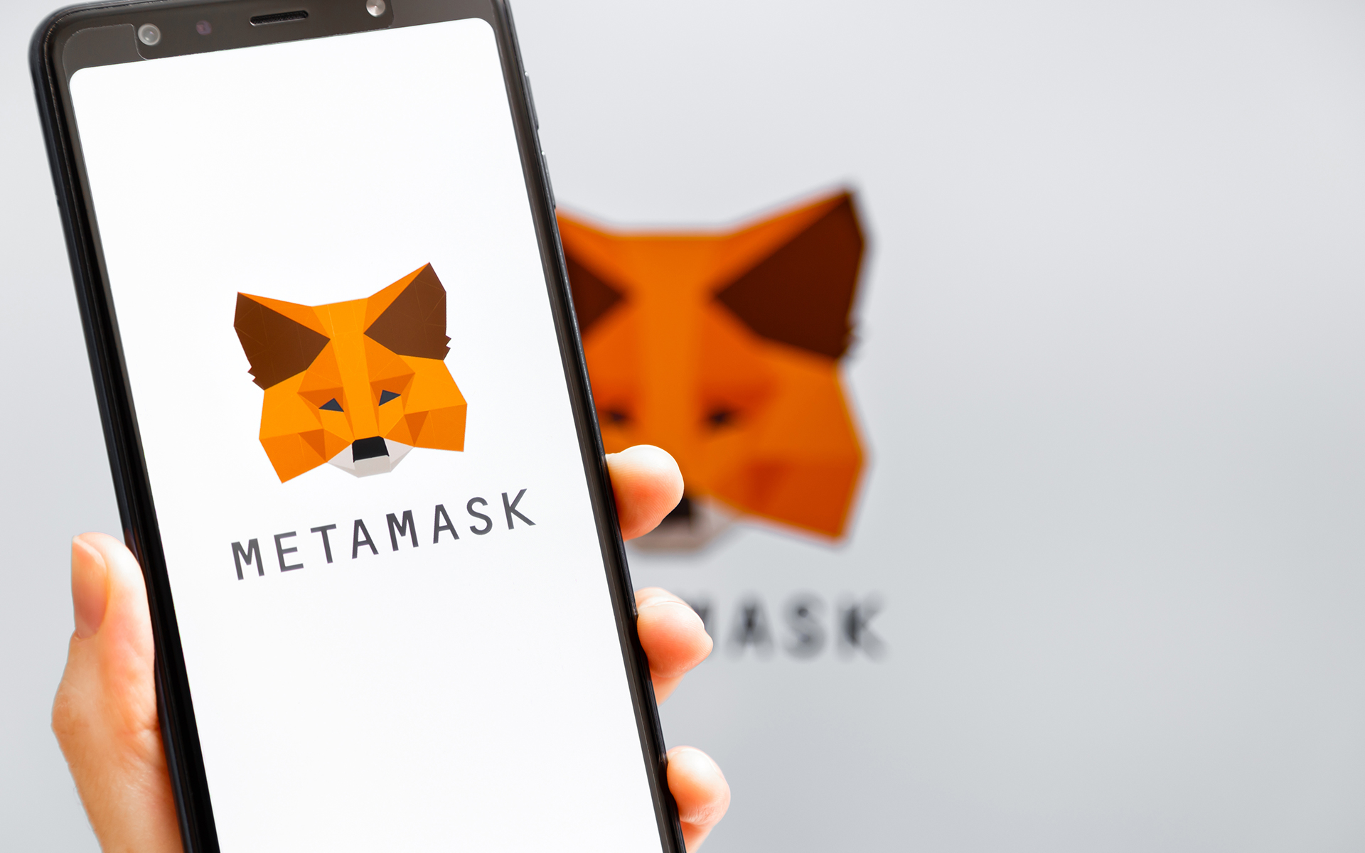 Prepare an ERC-20 Compatible Wallet