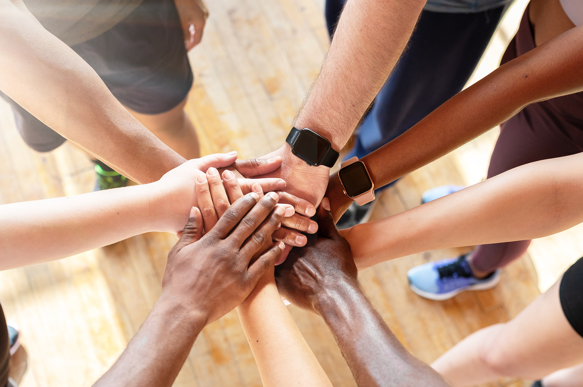 Participating in the GDT token sale is simple