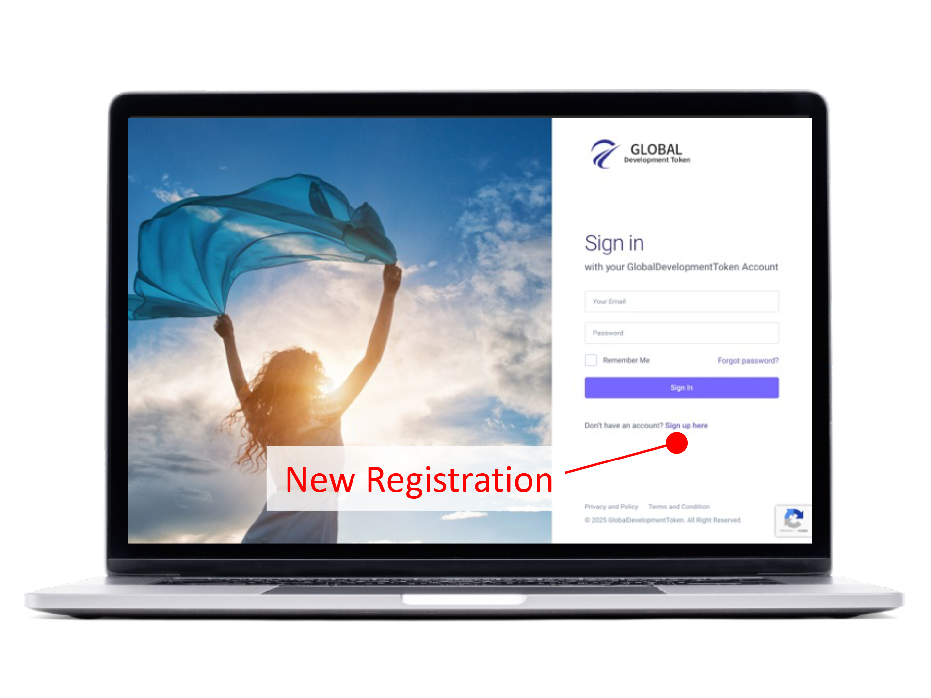 Access the GDT ICO Portal