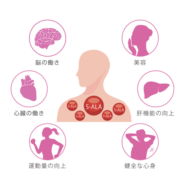 Biozipcode™: Targeted Drug Delivery System